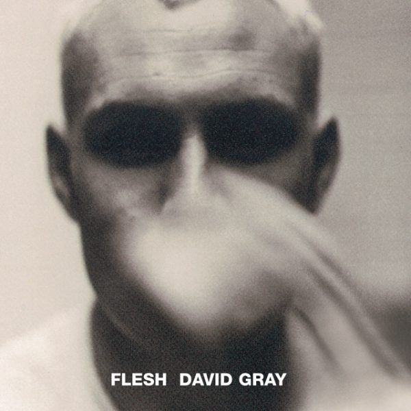 david-gray-flesh