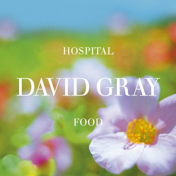 david-gray-hospital-pood-pt-2