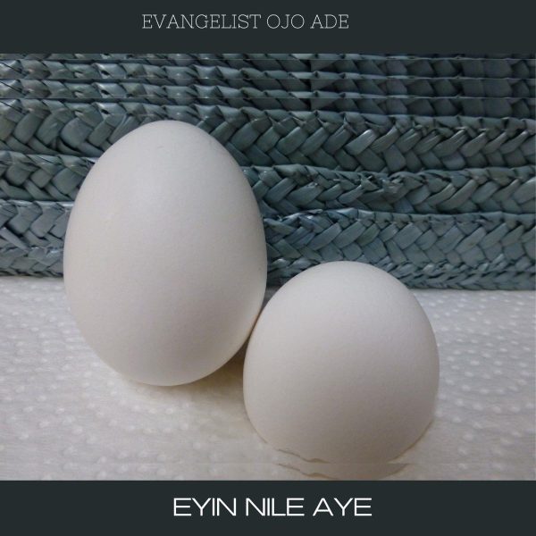 eyin-nile-aye